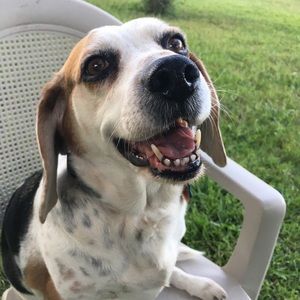 Meet your Posher, Helena